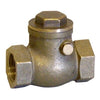 Non Return Swing Valve - FxF, 1/2