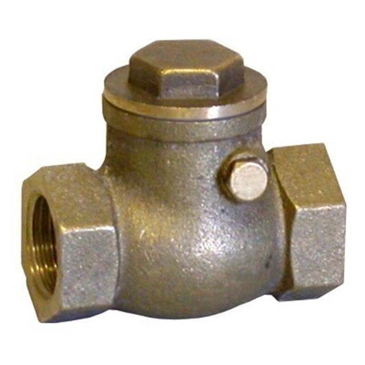 Non Return Swing Valve - FxF, 1"