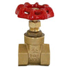 Gate Valve - FxF, Brass, 3/4
