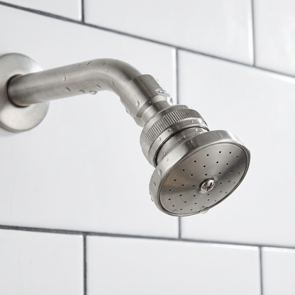 Shower Rose - Contractor, Plastic, Chrome Plated